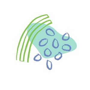 Meet your Posher, Jayne